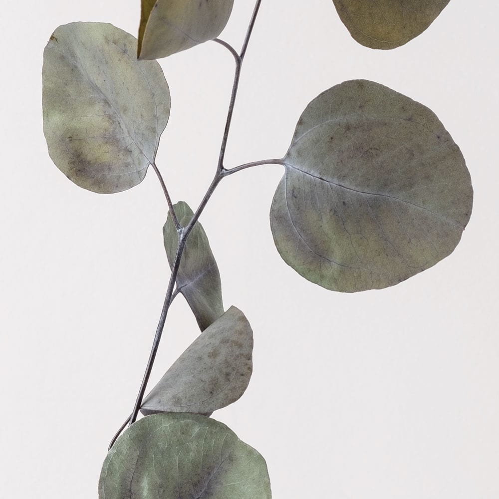 Werkwijze afronding therapie